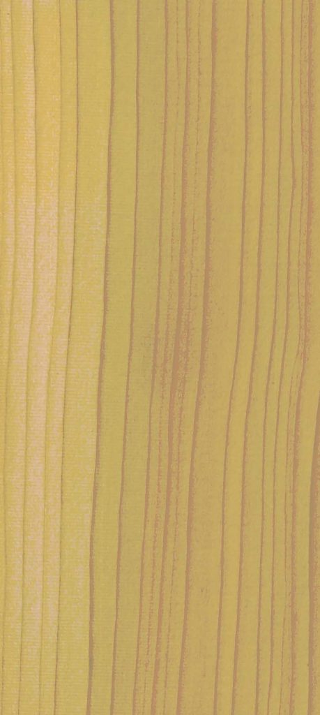 Yellow Cedar